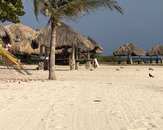 Quaint bungalow overlooking the Caribbean. A short 8 minute walk to Baby Beach - Sint Nicolaas - Beach