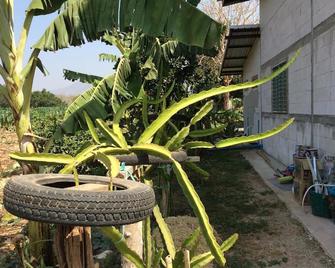 Chaleena Homestay - Ban Nong Hoi - Patio
