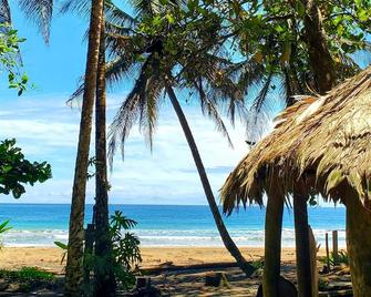 Caribbean beachfront home with private cabana - Manzanillo - Playa