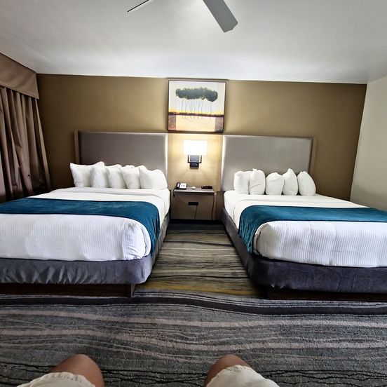 Bedroom view of Los Viajeros Inn