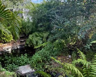 Enjoy the Pleasures of Historic Downtown Dade City- The Dade City Bungalow - Dade City - Outdoor view