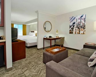 SpringHill Suites by Marriott Chesapeake Greenbrier - צ'סאפיק - סלון