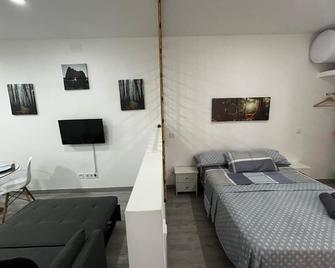 Beautiful fully equipped and refurbished studio apartment in the center of Madrid - Madrid - Bedroom