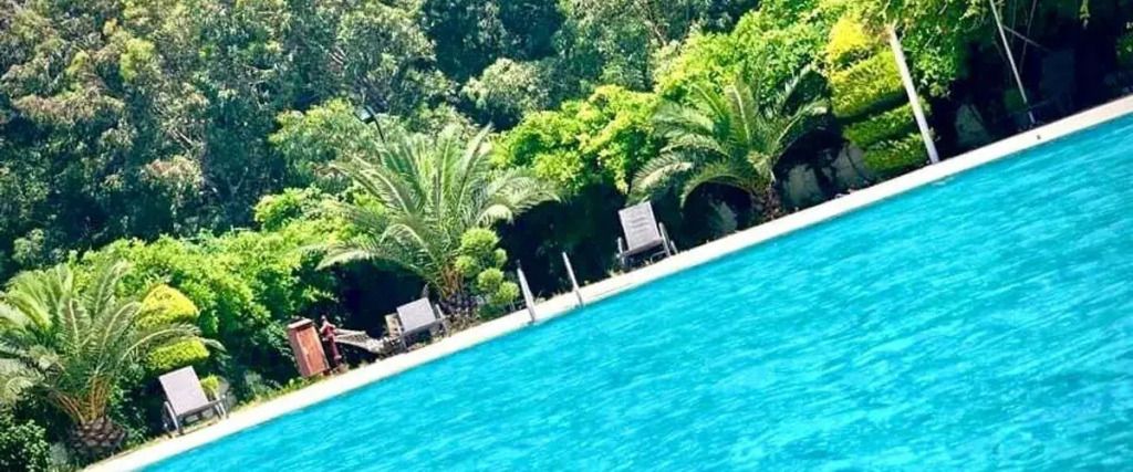 كاليبسو بارك بوتيك أوتل