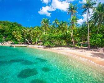 Chalok Chill - Ko Tao - Bãi biển