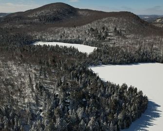 Treehouse #05 | The Bee - La Conception