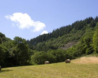 Auberge de Lascours, gîte d'étape pleine nature. - Ceilhes-et-Rocozels - Campo de Golf