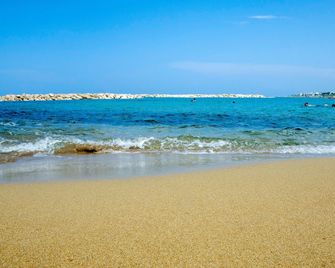Venus Beach Hotel - Paphos - Beach