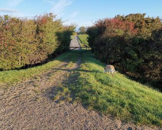 8 person holiday home in Rødby-By Traum - Rodby - Venkovní prostory