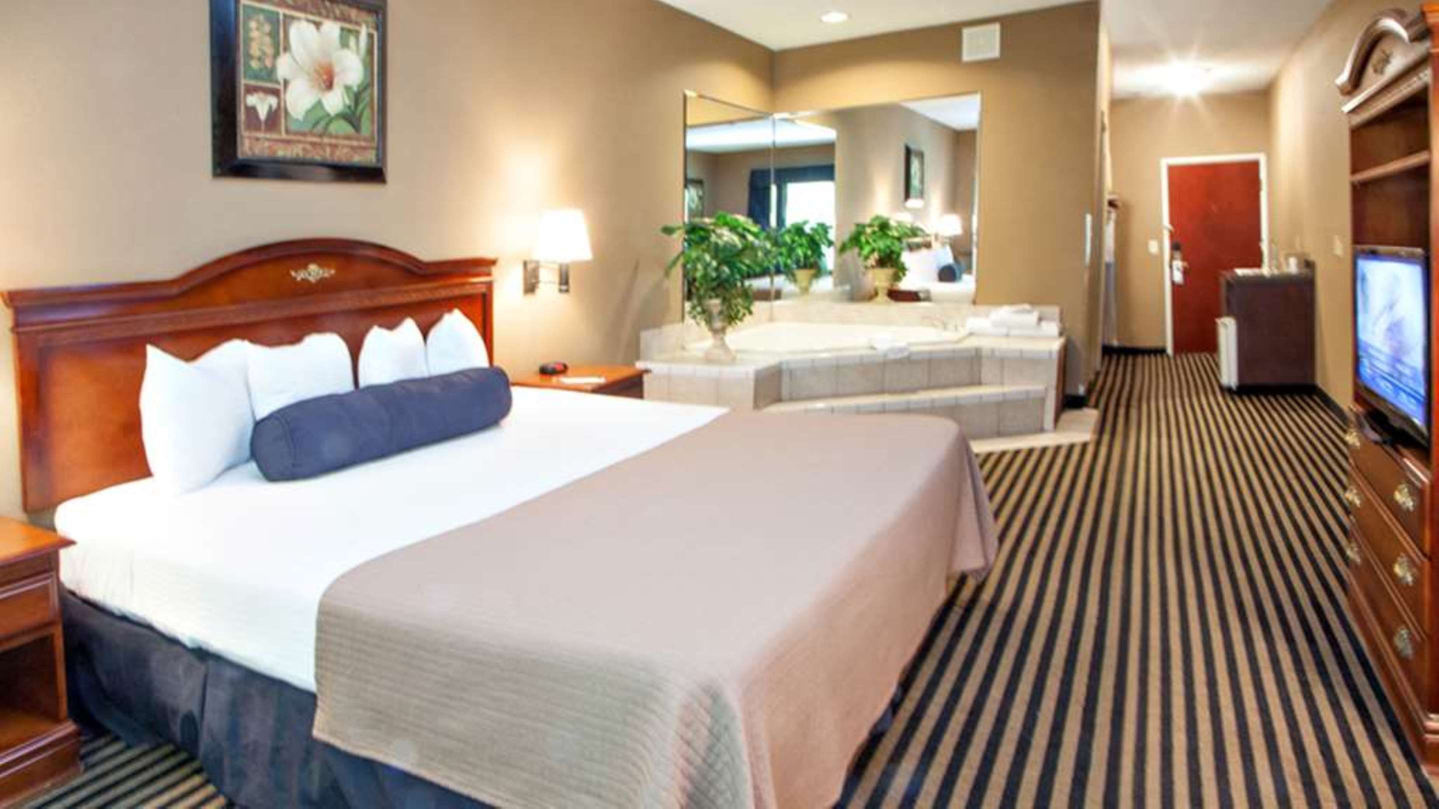 Mountain Inn & Suites Flat Rock - Flat Rock - Спальня
