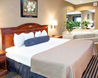 Mountain Inn & Suites Flat Rock - Flat Rock - Спальня