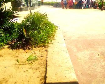 Boho Beach Hostel - Playa del Carmen - Spiaggia