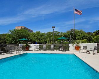 Hampton Inn Austin-South/Airport Area - Austin - Pool