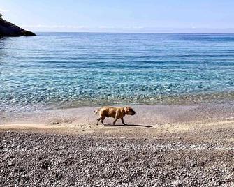 Chios Cozy studio Island Getaway - Isla de Quíos - Playa