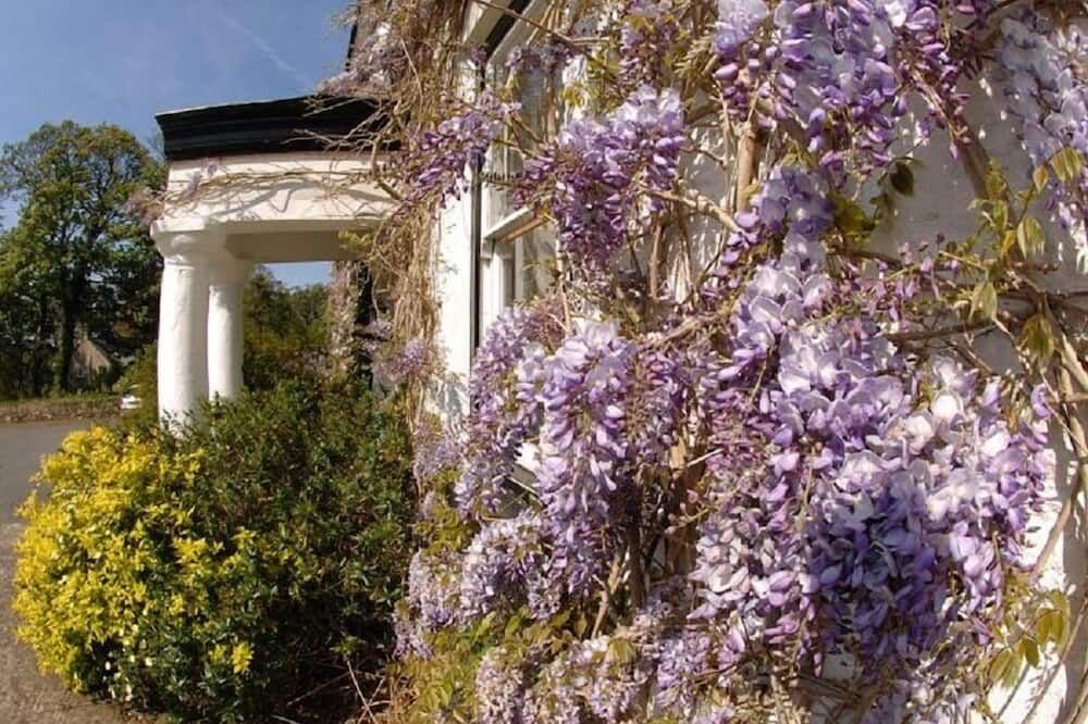 Cuffern Manor - Haverfordwest - Outdoor view