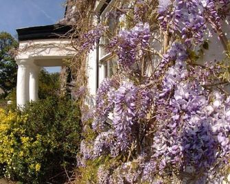 Cuffern Manor - Haverfordwest - Outdoor view