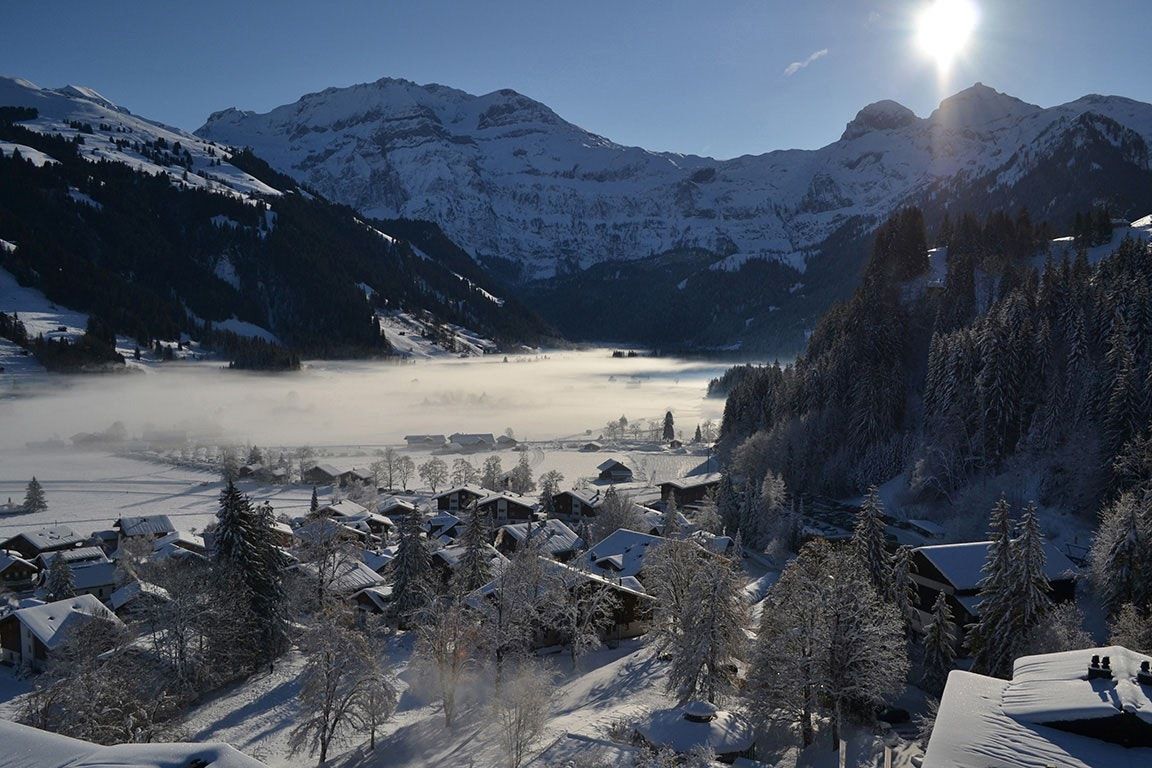 Lenkerhof Gourmet Spa Resort - Lenk - Edifício
