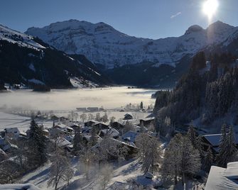 Lenkerhof Gourmet Spa Resort - Lenk - Edifício