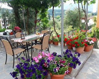 Ziogas Apartments - Dassia - Patio