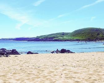 Fairlaw Garden Cottage - Eyemouth - Strand