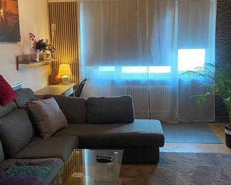 Old one and half rooms apartment 44square meter, in the central city of Malmö, - Malmö - Huiskamer