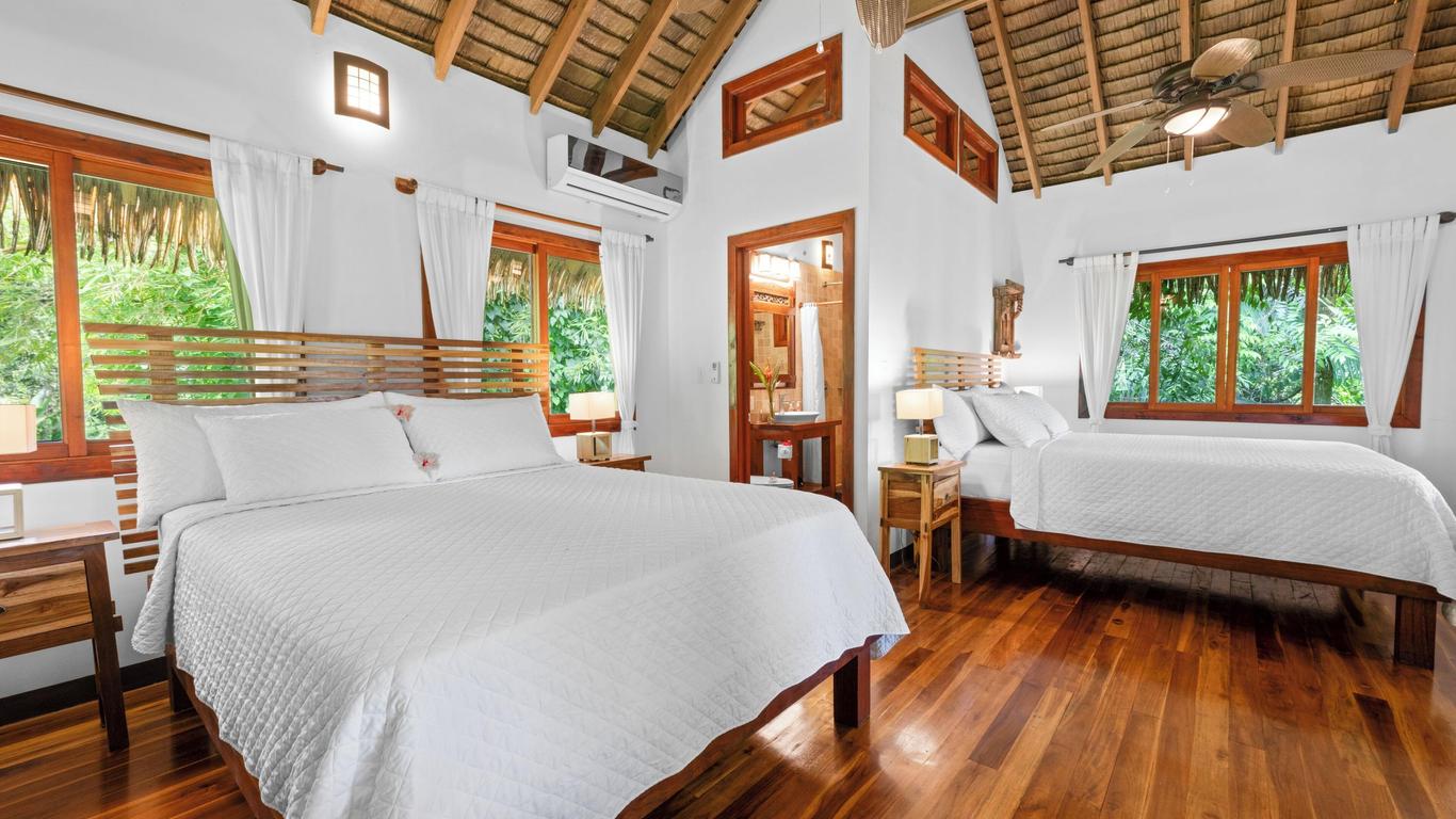 Copa De Arbol Beach & Rainforest Resort