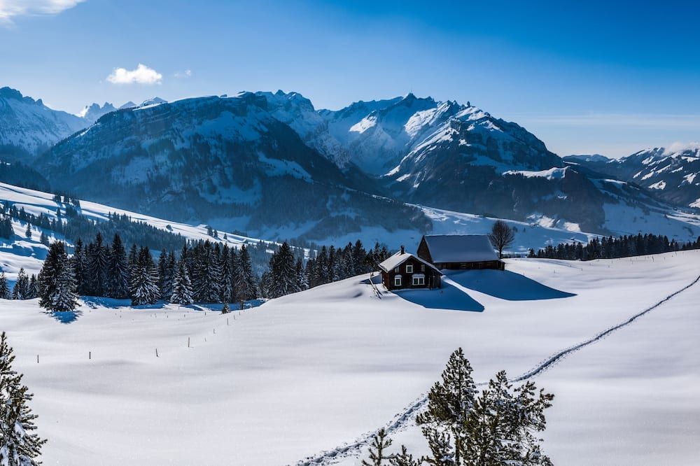 Hecht - Appenzell