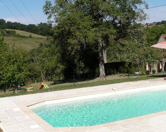 At the heart of Perigord Noir stone house near Sarlat, quiet and relaxing - Mouzens - Piscine