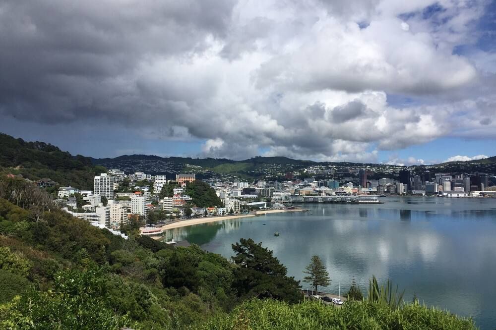 Incredible Views! Luxurious Studio & Outdoor Living - Wellington - Outdoor view