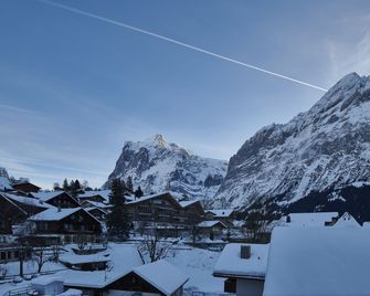 Central Hotel Wolter - Grindelwald - Exterior