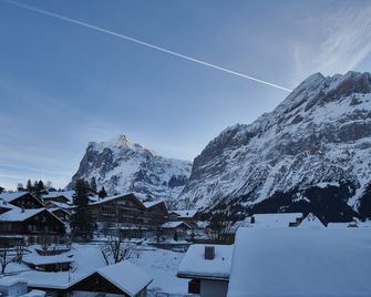 Central Hotel Wolter - Grindelwald - Vista del exterior