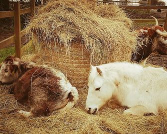 Brampton Dales Farm B&B - Gainsborough