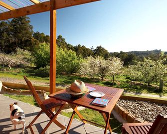 Elvenhome Farm - Mole Creek - Patio