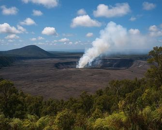 Oceanfront studio see whales and dolphins - Pahoa