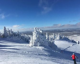 À Tout Venant B&B - Magog