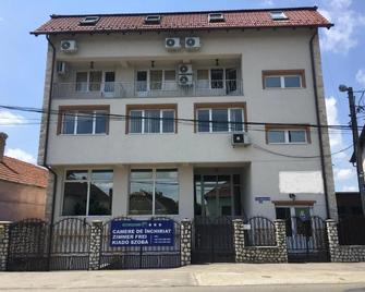 Cazare Hofmann - Arad - Building