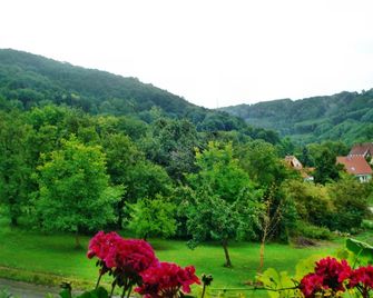 Akzent Hotel Goldener Ochsen - Croeffelbach - Outdoors view