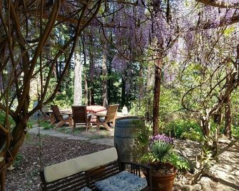 Mountain View Casita in Magical Redwoods - Ben Lomond - Patio