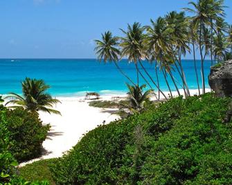 Magnificent ocean view apartment with huge private patio - Diamond Valley - Beach