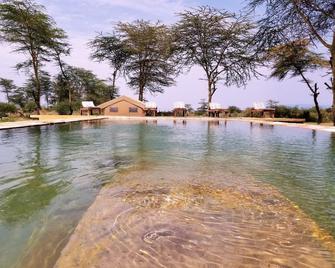 Africa Safari Camping Mto wa Mbu - Mto wa Mbu - Pool