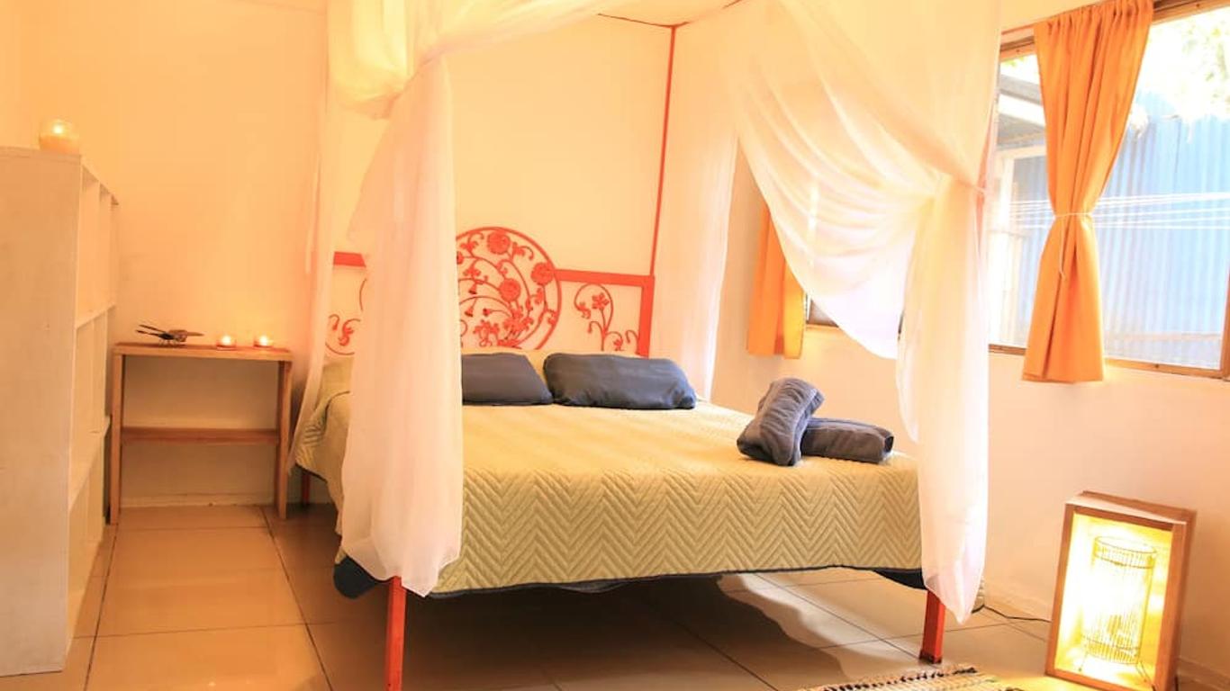 Madre Selva Hostel