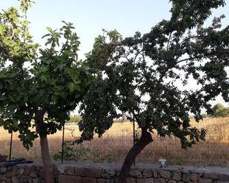 Casa Vacanza Campoli - Ruffano - Vista del exterior
