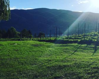 Modern A-Frame Cabin on Organic Lakefront Vineyard in the Okanagan - Kaleden - Outdoors view
