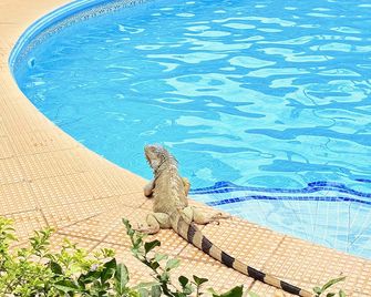 Hotel Villa Acacia - Playa Hermosa - Pool