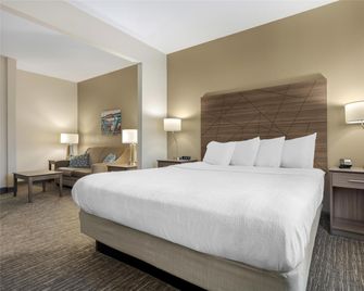 Best Western Brockport Inn & Suites - Brockport - Slaapkamer