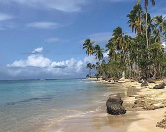 Bonitavillage+seaview-Frontbeach+openkitchen+cozy 2br+4bds+6pax+wifi+tv - Las Terrenas - Beach