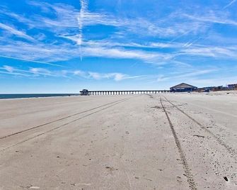 Free Bird - Tybee Island - Plage