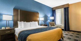 Comfort Inn Cleveland Airport - Middleburg Heights - Sypialnia