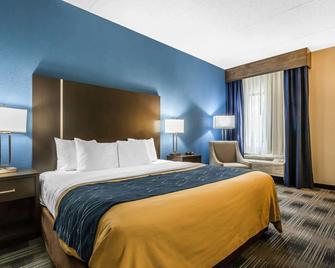 Comfort Inn Cleveland Airport - Middleburg Heights - Bedroom