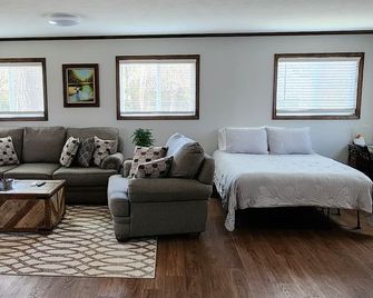 Cozy One-Bedroom Cabin on Peaceful 38 Acres - Hutchinson - Вітальня